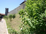Tn IMG 3448